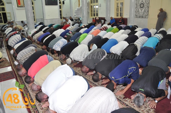 tarawee7 salah nozha (11).JPG